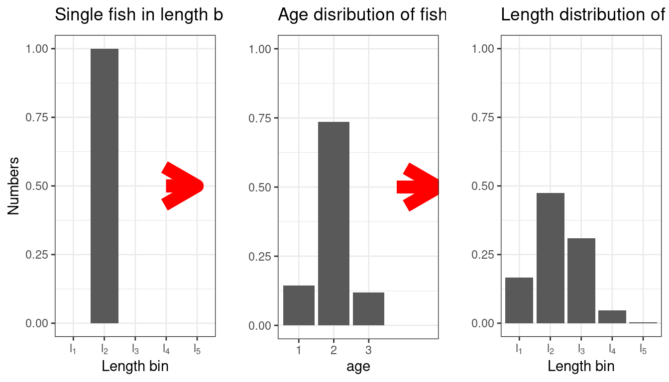 A visualisation of the effect of going back and forth through an age-length transition matrix. This can happen when tag releases and recaptures are input as length in an age-structured model. The model converts lengths to ages, then reconverts the age to length for observations. This is assuming the same age-length relationship in Figure \@ref(fig:addagelength)